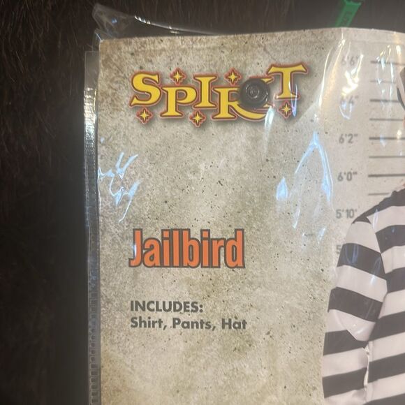 Spirit Halloween Jailbird Costume (6024B) - Picture 3 of 5